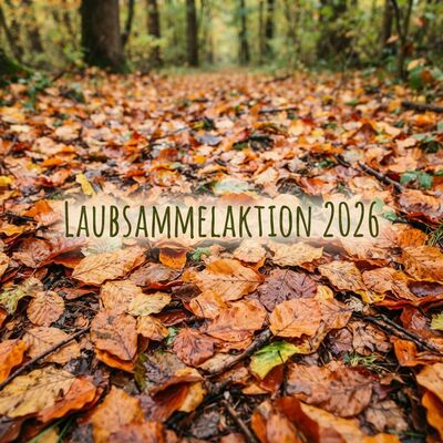 Bild vergr&ouml;&szlig;ern: Laubsammelaktion